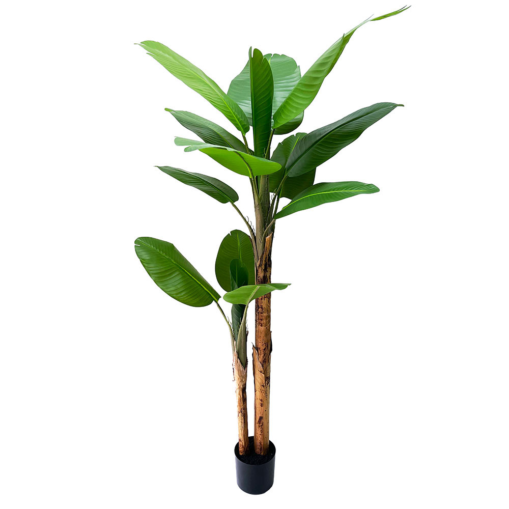 Altura del producto 160CM 12 hojas + 6 pulgadas maceta de goma negra