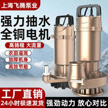 Ϻˮ220VˮrˮˮùȼPˮ