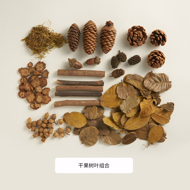 Maquillaje blanco original, geometría, accesorios fotográficos, pequeños adornos, cosméticos, bodegón, fotografía, decoración de tablero de fondo