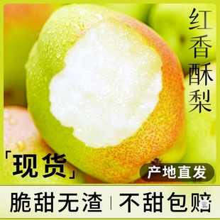 ����t������10���rˮ�������������������خa����ѩ����]������