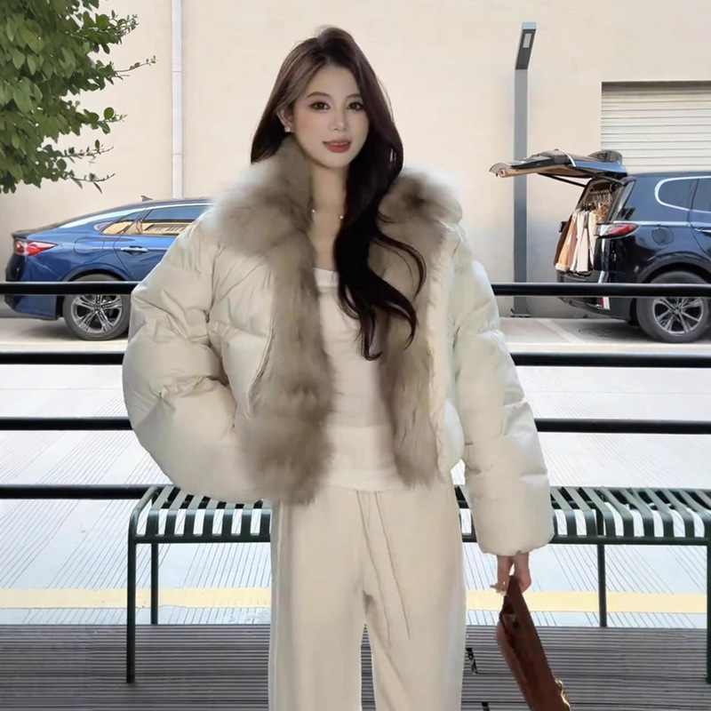 2025 Korean Style Short down Jacket with Large Fur Collar for Women, Winter Warm Thick Versatile Casual Puffer Jacket
