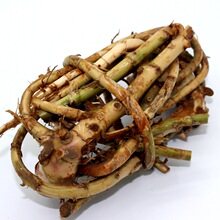 ���x���r��ɰ�ʸ�500gꖴ��خaɰ�ʗl�r���ֹ��ڴ�ɰ���^ʳ���Ҝ�