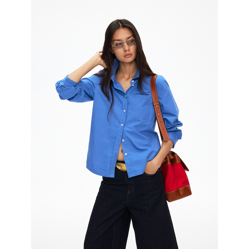 DT ETOLIE French retro slim-fit women's shirt, autumn long-sleeve blouse, versatile top for women D8337 DT ETOLIE French retro slim-fit women's shirt, autumn long-sleeve blouse, versatile top for women D8337