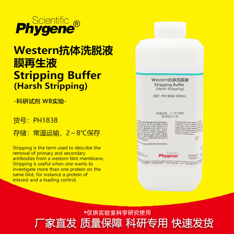 Western抗体洗脱液 膜再生液 Harsh Stripping 抗体剥离去除液