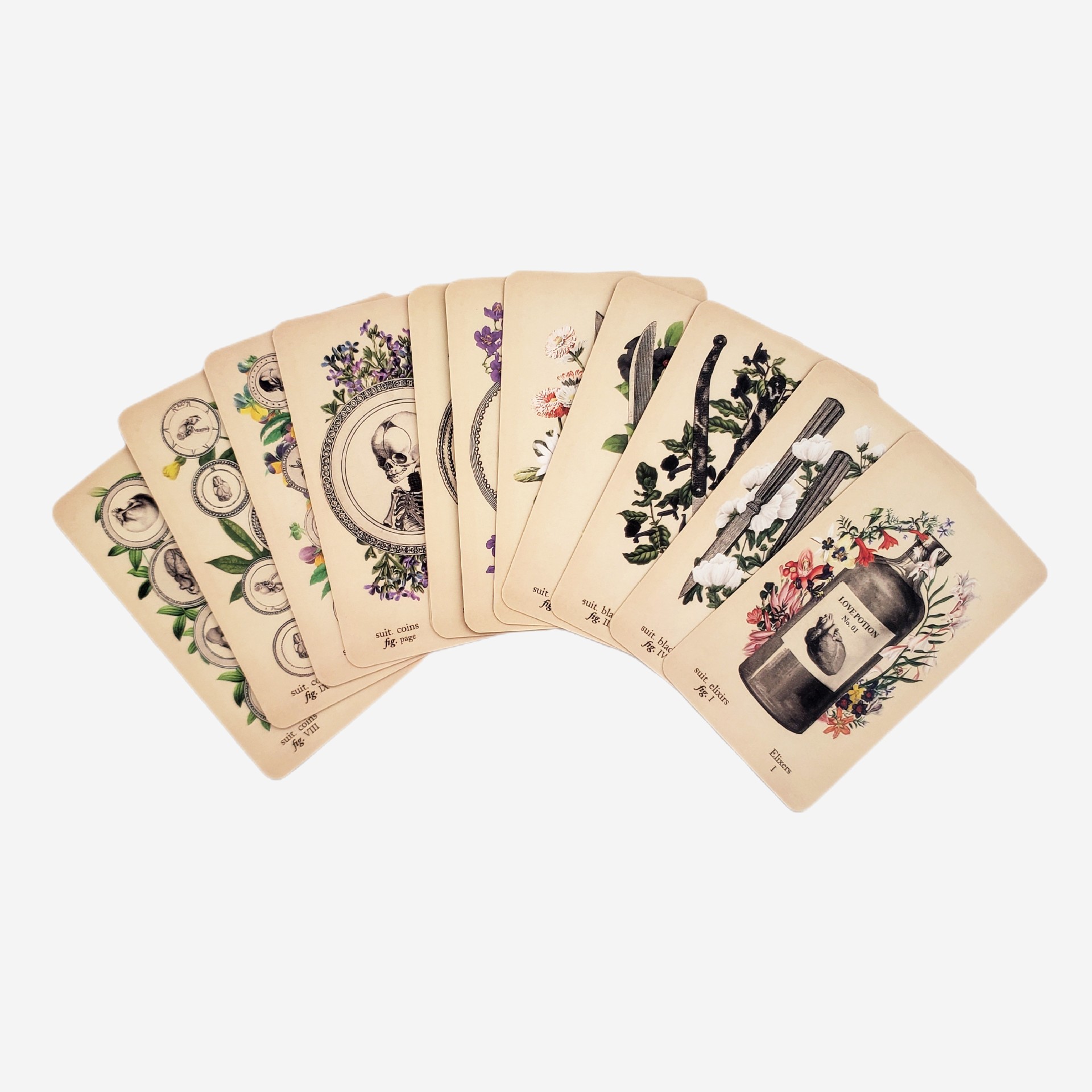 The Antique Anatomy Tarot Deck - Classic Divination Party Game_voghion.com