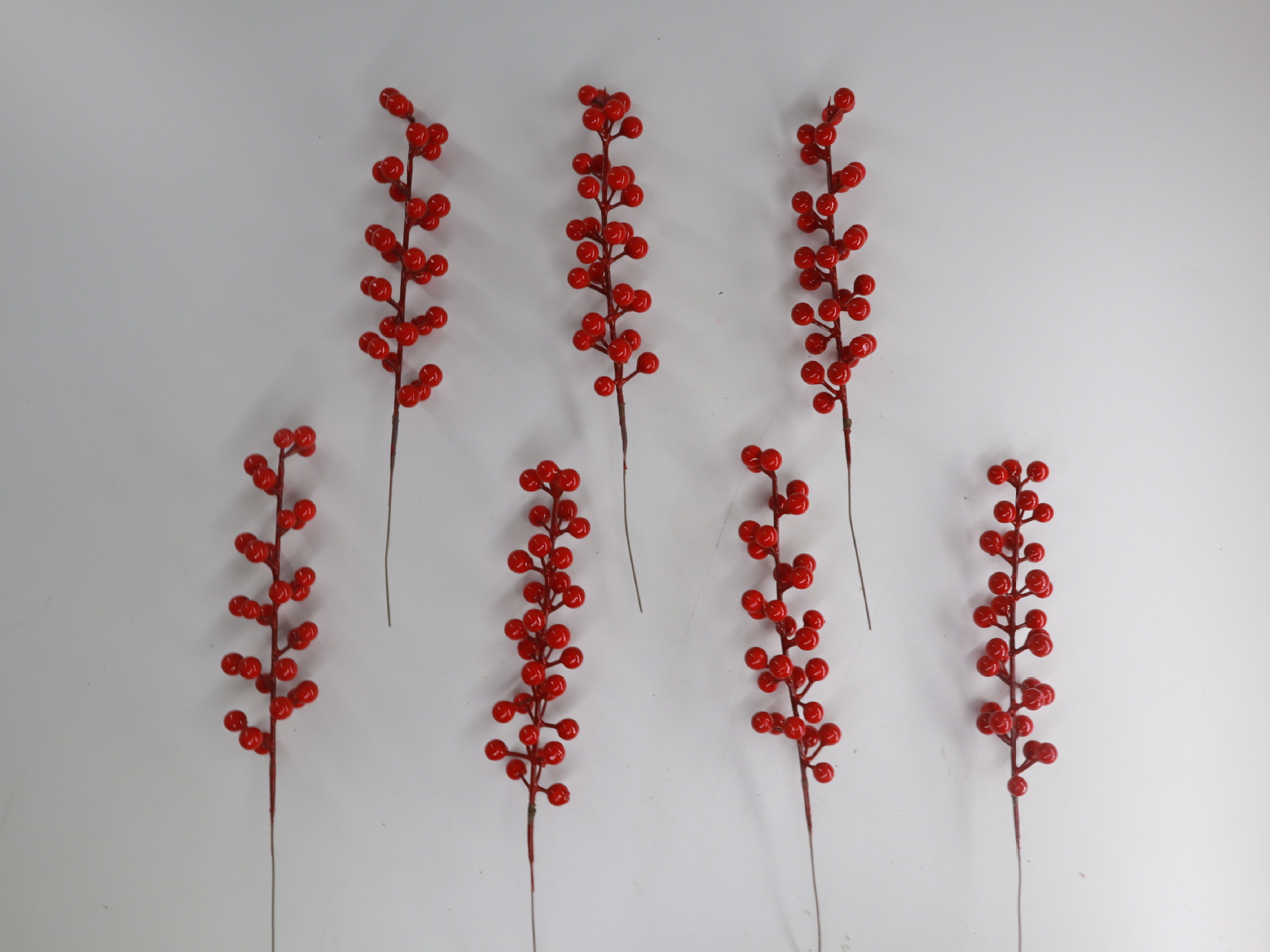 小红果单头 (1).JPG