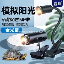 ��������񱳟��ӟ�����M�}����̫ꖟ�������uvb������uvaȫ���V