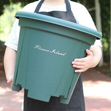 �ش�̖����ͥԺ�Ӻ�7�Ӂ���ɽ��40cm����͸���������¼����仨��
