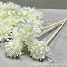 香薰藤条扩香棒香薰挥发棒摆件装饰品花仿真香薰摆件配件室内香薰