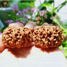 ������Ұ��{������Ӑ���ĥ�P�����Ǫ{���^Ұ�������O���@�Ͻ�