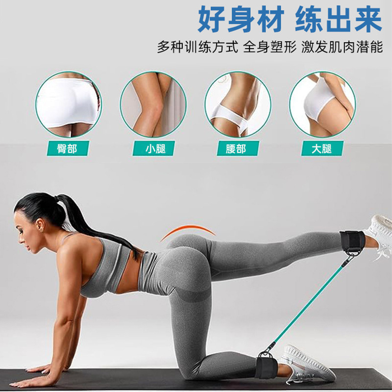 足首ストラップ、テコンドー脚筋力トレーニング、スポーツ保護具、体重負荷補助ベルト、フットリング、フットバックル、ダンベル|undefined