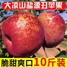 四川大凉山丑盐源新鲜现摘水果10/5/3斤红富士厂家批发跨境混批