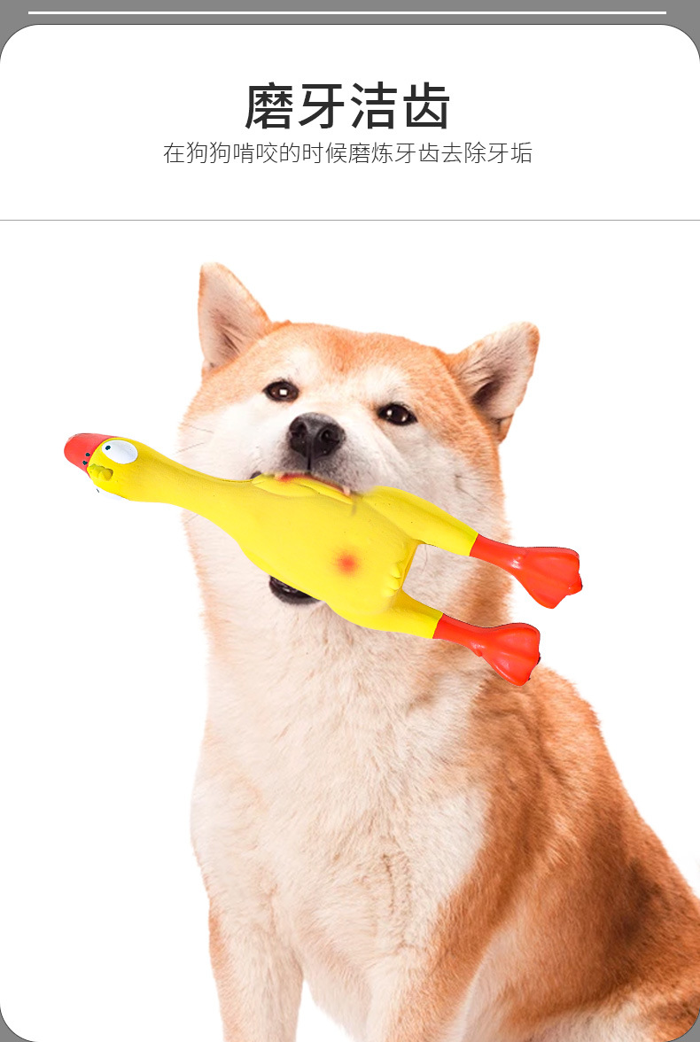 杂货功能性套版_03