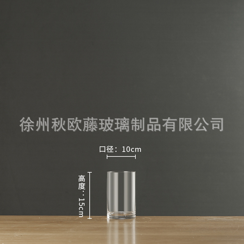 大号透明直筒玻璃花瓶批发客厅落地富贵竹鲜花水培花器摆件ins风|undefined