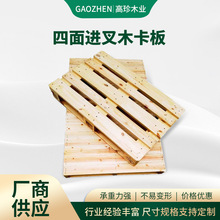 ���S�����z�ϰ������M��ľ�бP�}����������ľ�бP�� ��