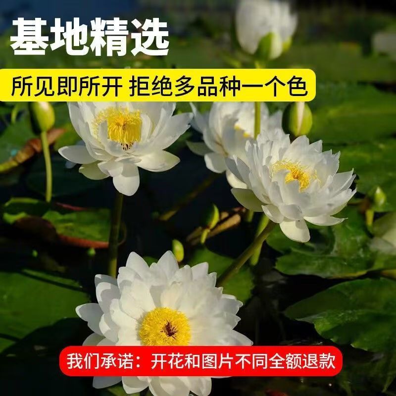 2b3a1c3e-0946-4ed0-a1ce-793735fbec6b.jpe