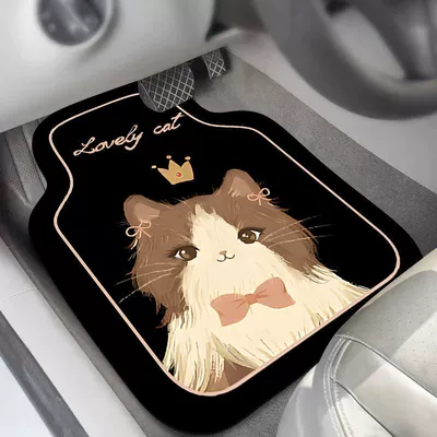 Avtomobil döşəmə paspasları car mat dirt-resistant wear-resistant car - angel-cat-diatom-mud-rear-row-two-piece-set-two-pieces-
