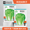 Source manufacturers wholesale Feng resistance 90 Chinese cabbage seeds During the late -mature Shandong hybrid buns, autumn cabbage seeds