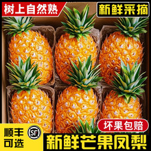 ����â������ֱ������ˮ��̨ũ23��â��ζ�������˳����ˮ