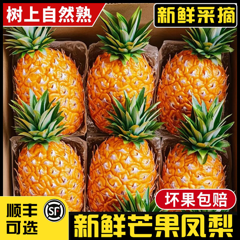 Hainan Mango and Pineapple Direct Delivery Fresh Fruit Taizhong No. 23 Mango-Flavored Golden Diamond Large Pineapple Sf Express Fragrance Hainan Mango and Pineapple Direct Delivery Fresh Fruit Taizhong No. 23 Mango-Flavored Golden Diamond Large Pineapple Sf Express Fragrance
