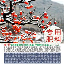 50���u�ЊW���Ә䌣���ЙC�ʏͺϷʵ׷�׷���~��ʛ_ʩ��ˮ�ܷ�