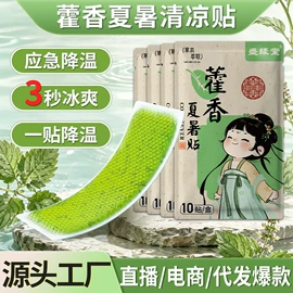 保健护具;身体护理套装;膏药贴（械字号）
