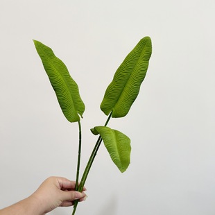 ��� ������Q���~���Է����~�����ٻ� �Ҿ��b��쾰�廨���