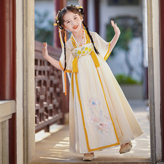 Girls' Fairy Hanfu Summer Cute Dress Improved Tang Suit Ancient Princess Dress Chinese Style Ethnic Children's Clothing Summer