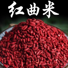 红曲米正宗食用红曲米粉卤肉糕点上色熬粥泡茶酿酒红曲米