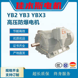 佳木斯防爆电机YB3隔爆型高压异步电动机6KV 10KV高压节能电机