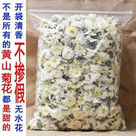 黄山贡菊 精选白菊花 新茶叶七月菊 白菊花散装花草茶50g-5药辉堂