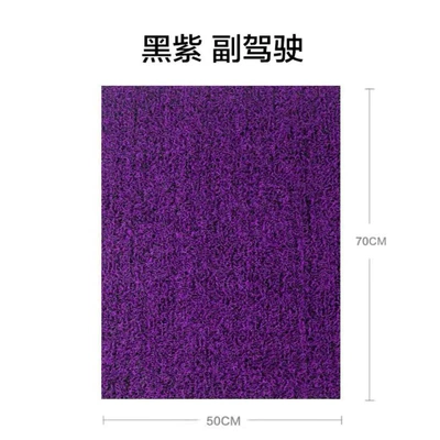 car floor mat, waterproof, universal, Universal Foot Pad - black-purple-passenger-side-single-piece