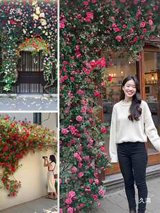 õ�廨�پW�t�����������ռٻ�����ͥԺ�̨�ٲ������b�Ʒ�F�z