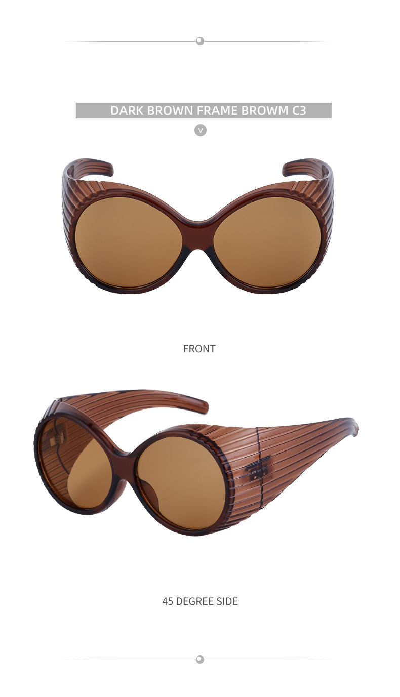 Elliptical Frame Sunglasses For Women Large Trendy Designer Style_voghion.com
