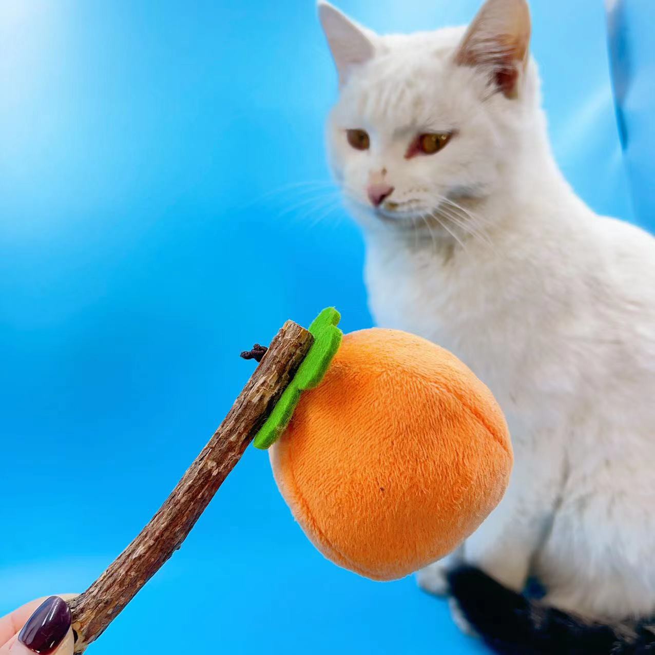 (2개) 공장 애완 동물은 HI POLYGONUM KOMPEDOUM CATNIP 답답한 감 봉제 장난감 이후 치아 물린 도매 고양이를 공급합니다.