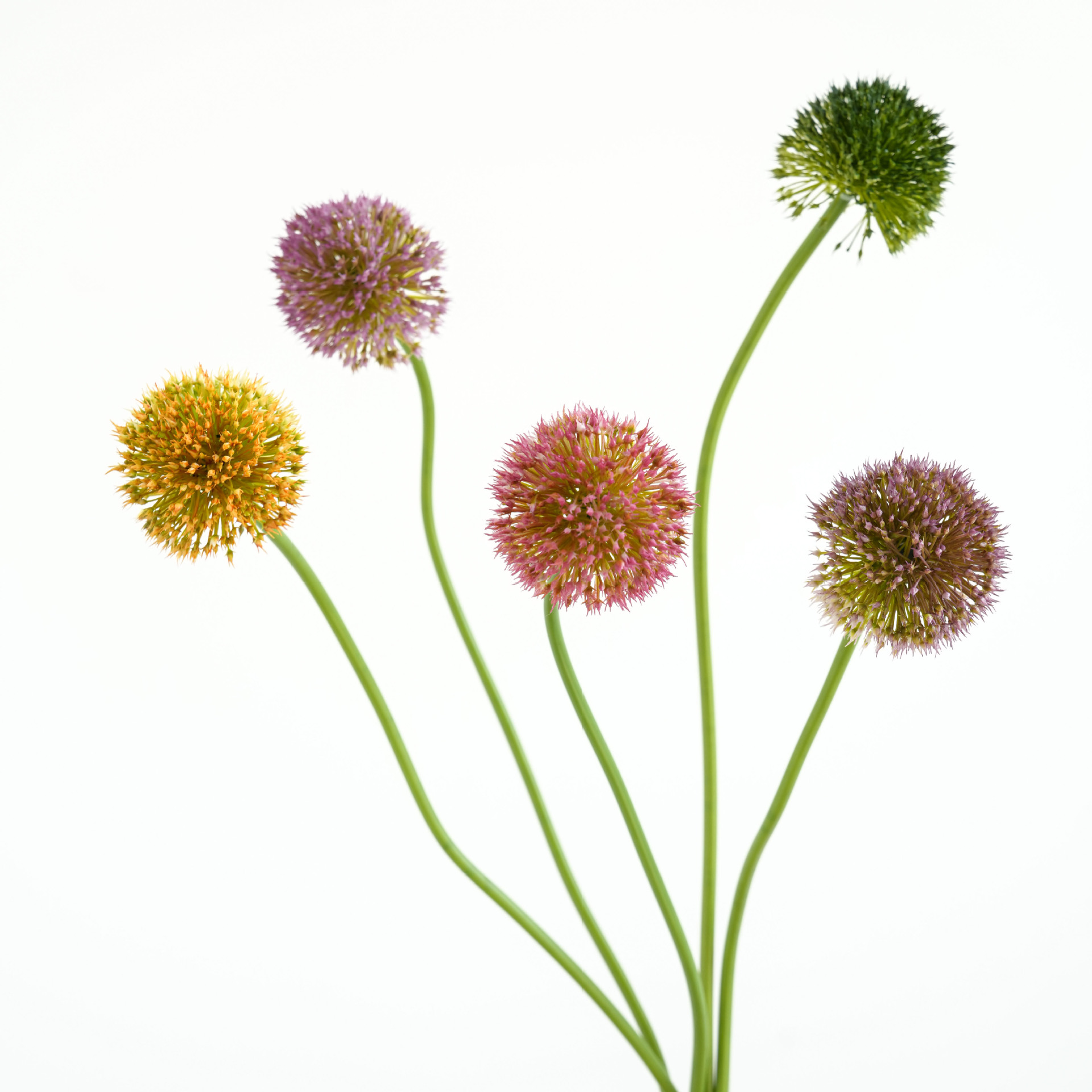 Factory Direct Sales, Artificial Flowers, High-Quality Green Onion Flowers, Wholesale Export Floral Art, Home Decoration Flowers