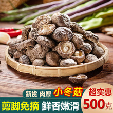 新鲜庆元农家香菇干货500g金钱菇非小香菇椴木冬菇蘑菇花菇