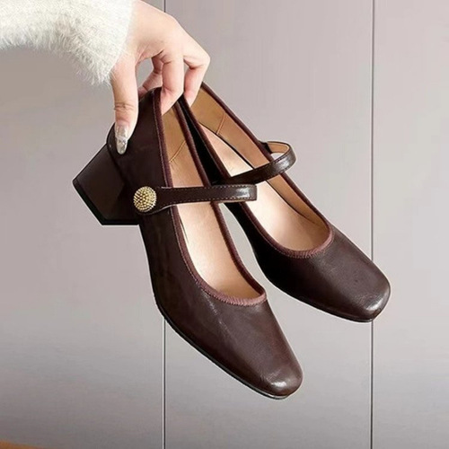 Brown Mary Jane Flat Shoes for Women 2025 Spring and Autumn French Style with Skirts, Elegant Rough Heel Leather Shoes