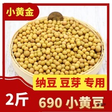 2024东北新货生发黄豆芽690极小粒黄豆纳豆小豆