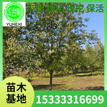 ���~���� �|�����~�������~����С�� �I�B���� �t�~�� �G����ľ