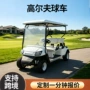 酒店接待机场电动球车