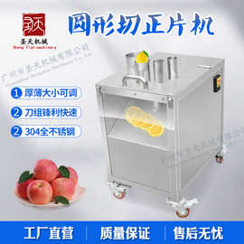 圆形切片机 食堂菜头切片机 萝卜柠檬黄瓜切圆片设备机器 厂家直