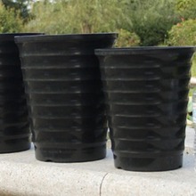 螺纹花盆 高筒高腰仿瓷塑料横纹树脂大花盆绿植多肉花盆 厂家批发