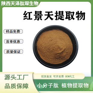 �t������ȡ��10:1��Ҏ��t���쇊�F��������t������� �t����߰b