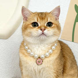 手工串珠宠物珍珠项链猫猫狗狗公主风吊坠甜美风项圈优雅气质颈圈