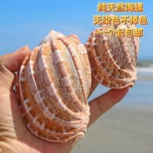 ���ݼ���Ȼؐ�����ݶ��⻨��[�����߾�ؐ�~�ľ�з��Q���~���쾰