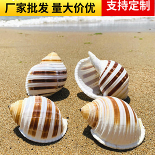 ������Ȼؐ�������~��ˮ�����b�Ʒ��ؐ�~��ֳ���⻨��[����̖