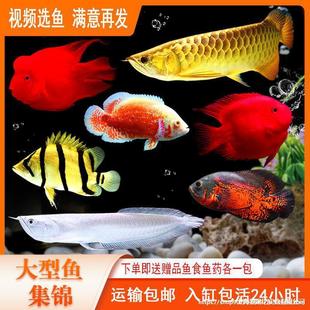 �𴬽����_�h�Ꭷ�^�p�~�W�^�~�~�t���~wlb��ˮ����؈���~�؈D�~