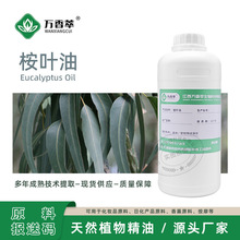 ���~�� ���~���� �{���~�����~��80% �ȼ����~��ֲ�����s�η�����