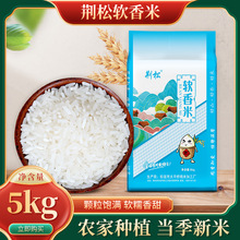 大米荊松長粒軟香米10斤當季新米農家直批油粘新貨中晚稻秈米家用